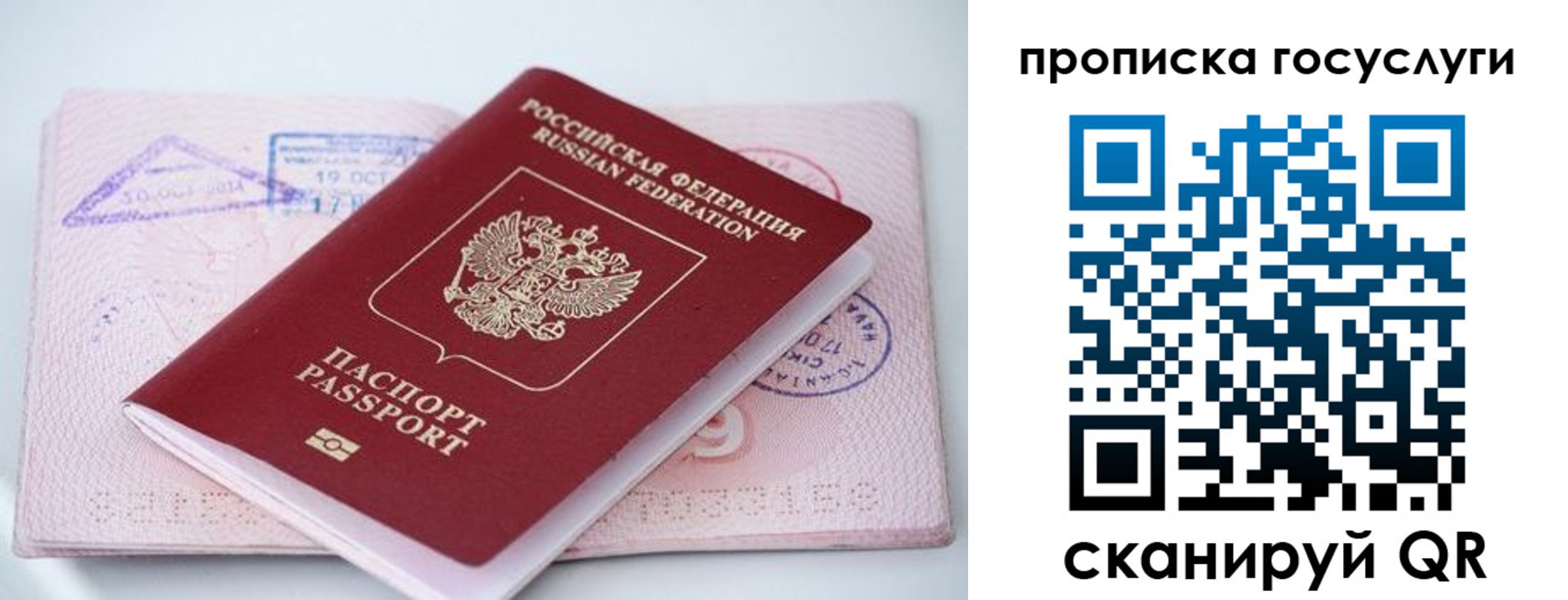прописка законно в Суровикино
